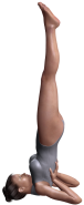 Viparita Karani Mudra